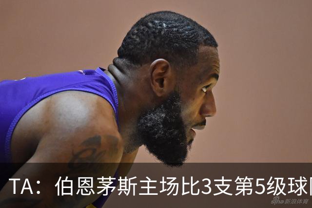 TA：伯恩茅斯主场比3支第5级球队还小，伊劳拉如今的压力远超从前